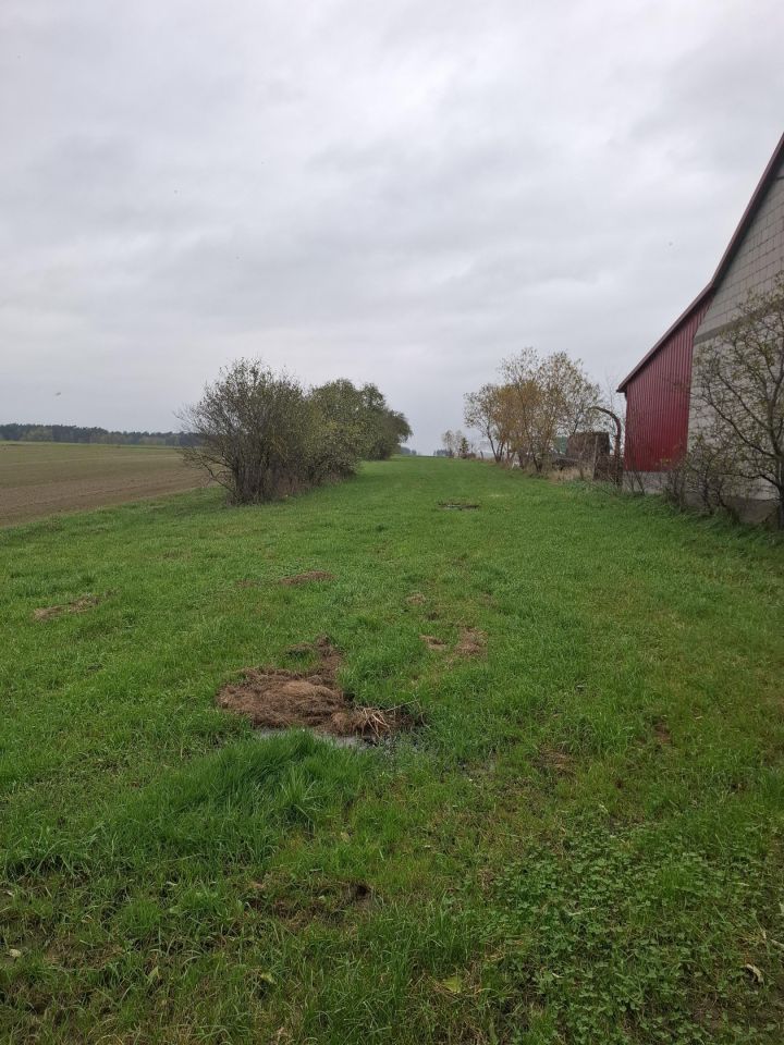 dom wolnostojący, 4 pokoje Święck Wielki. Zdjęcie 5