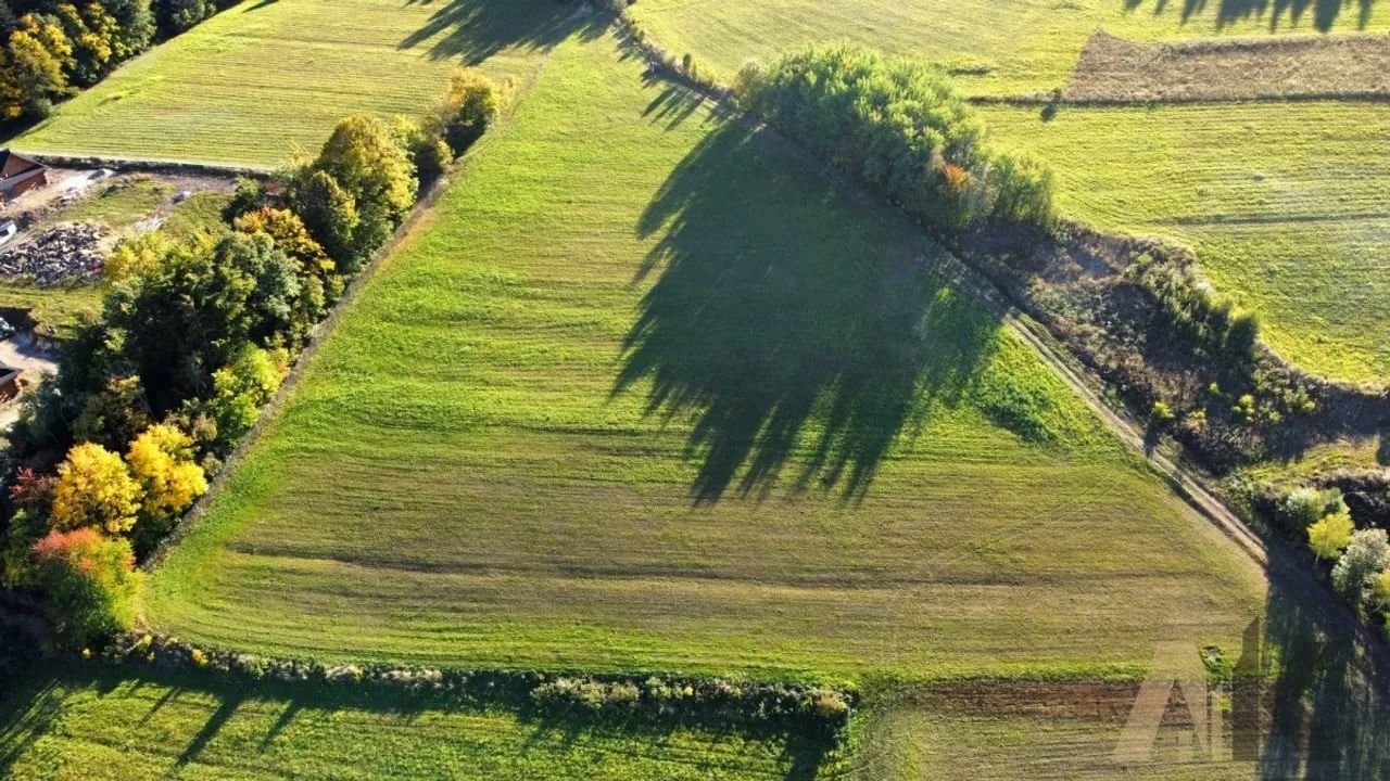 Działka rolno-budowlana Skrzętla-Rojówka. Zdjęcie 6