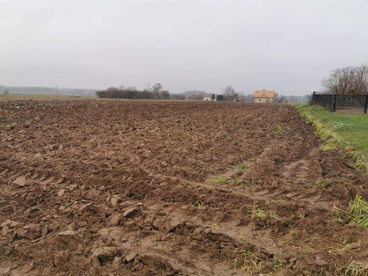 Działka budowlana Podlasie. Zdjęcie 3