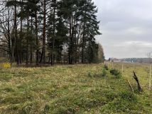 Działka rolno-budowlana Dąbrowiec. Zdjęcie 2