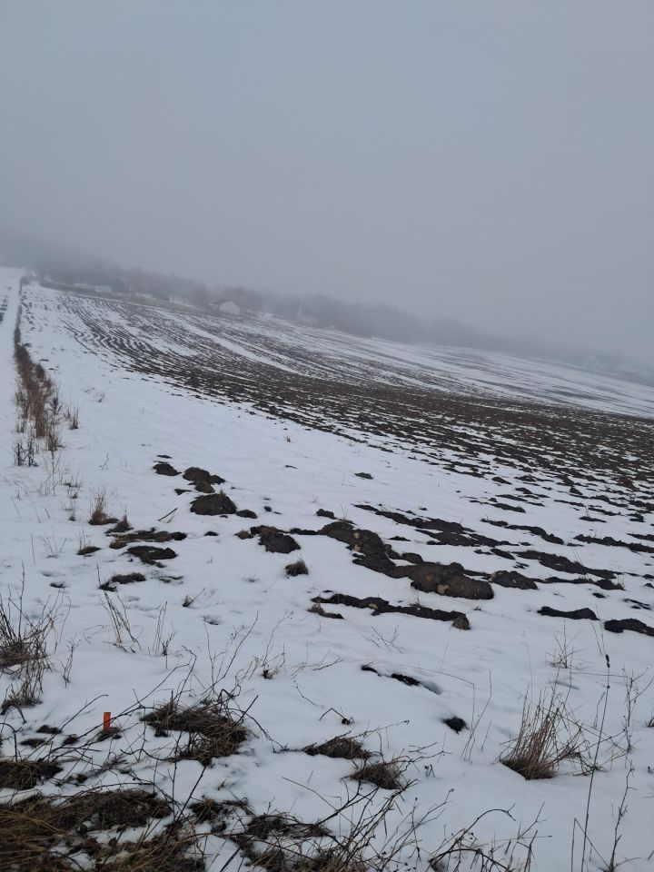 Działka budowlana Górki, ul. Słoneczna. Zdjęcie 8