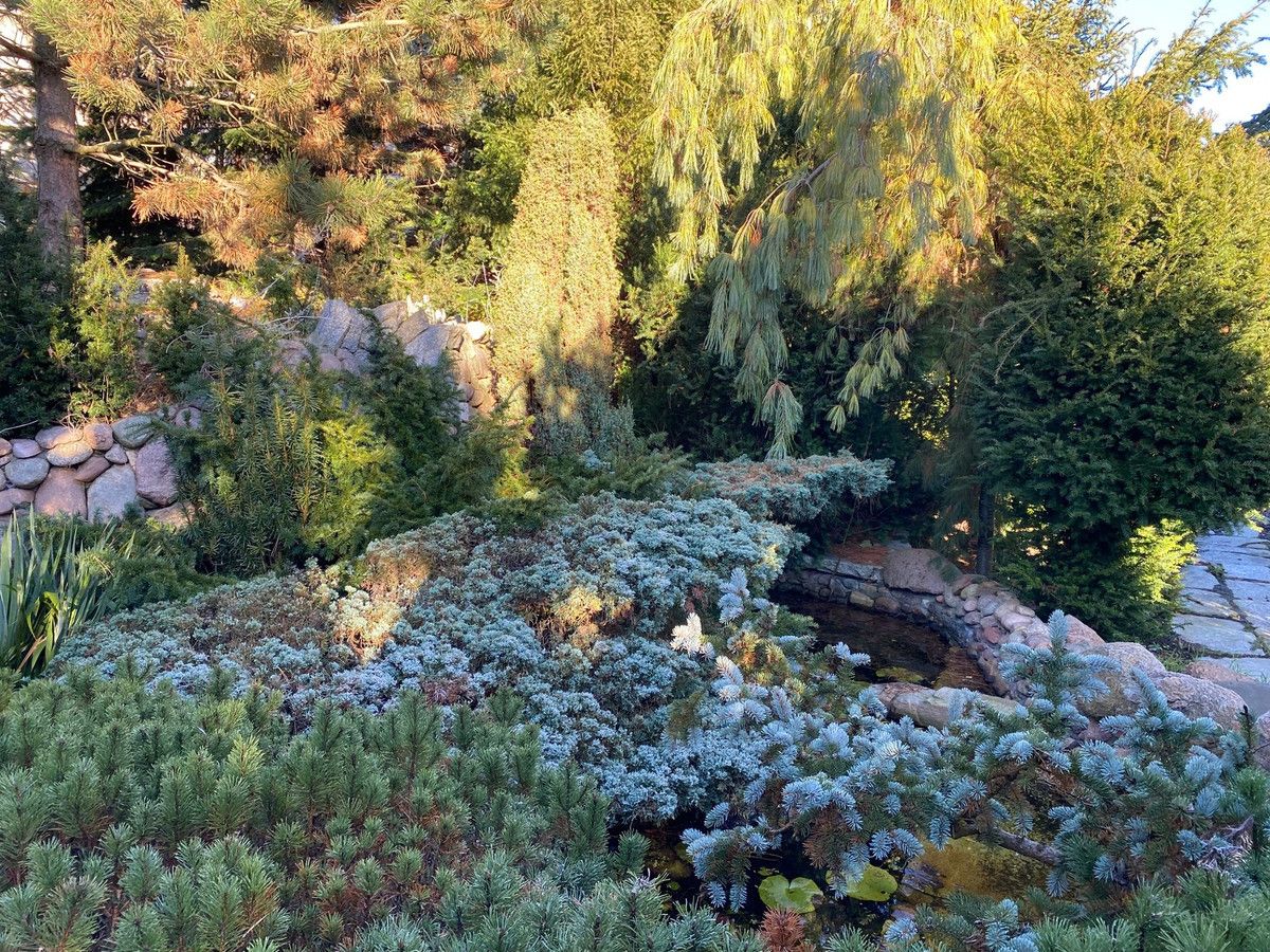 dom wolnostojący, 6 pokoi Iwiny, ul. Tadeusza Kościuszki. Zdjęcie 4