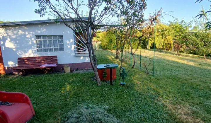 Działka rod Nowa Sól Zatorze, ul. Chałubińskiego