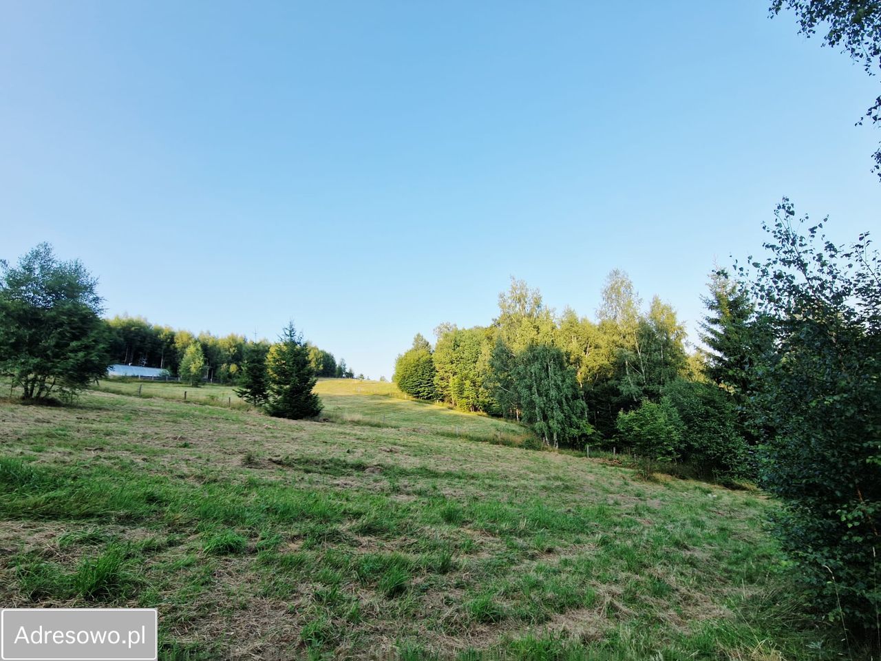 Działka rolno-budowlana Szarocin. Zdjęcie 14
