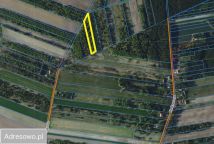 Działka rolna Pacierzów. Zdjęcie 2