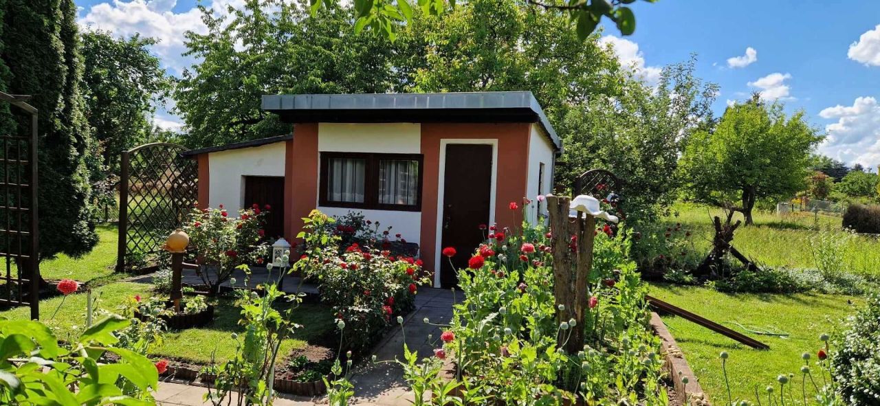 Działka rod Lubin. Zdjęcie 5