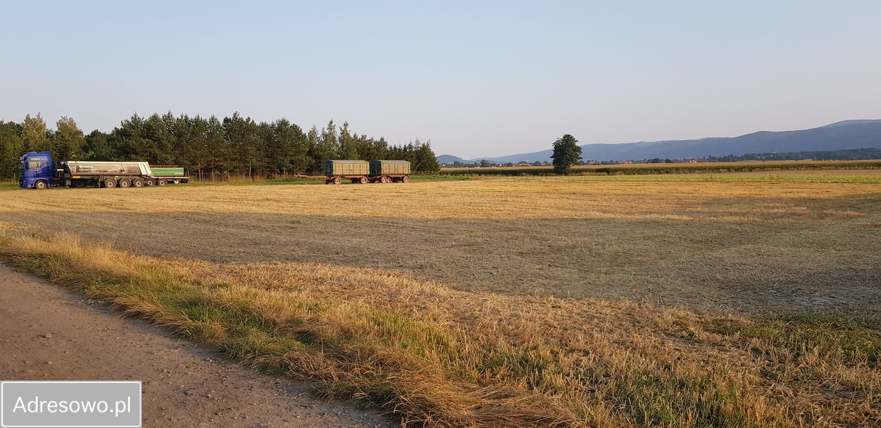 Działka siedliskowa Pieszyce Bratoszów. Zdjęcie 14