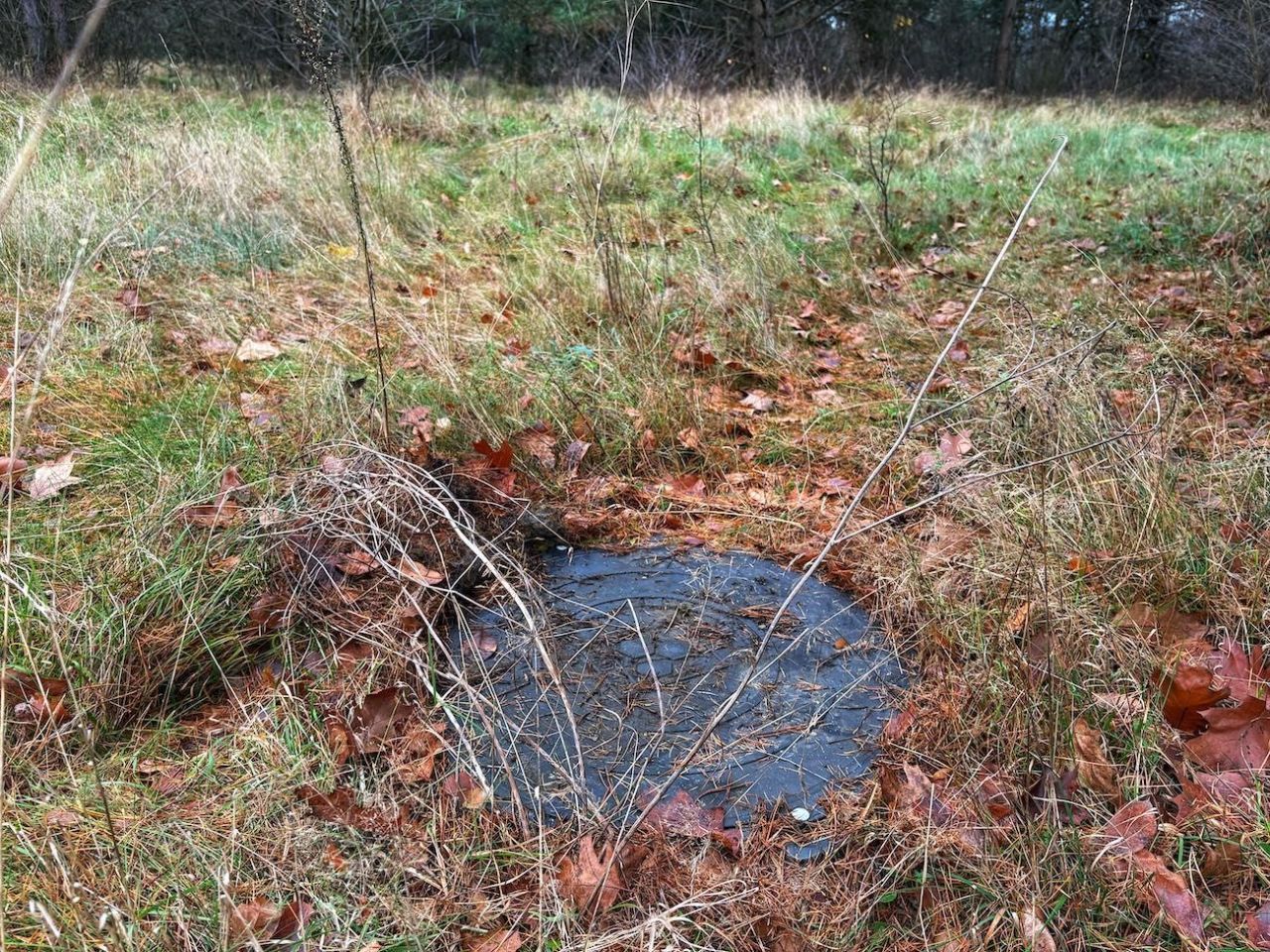 Działka Ruda. Zdjęcie 6