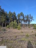 Działka rekreacyjna Wdzydze Tucholskie. Zdjęcie 3
