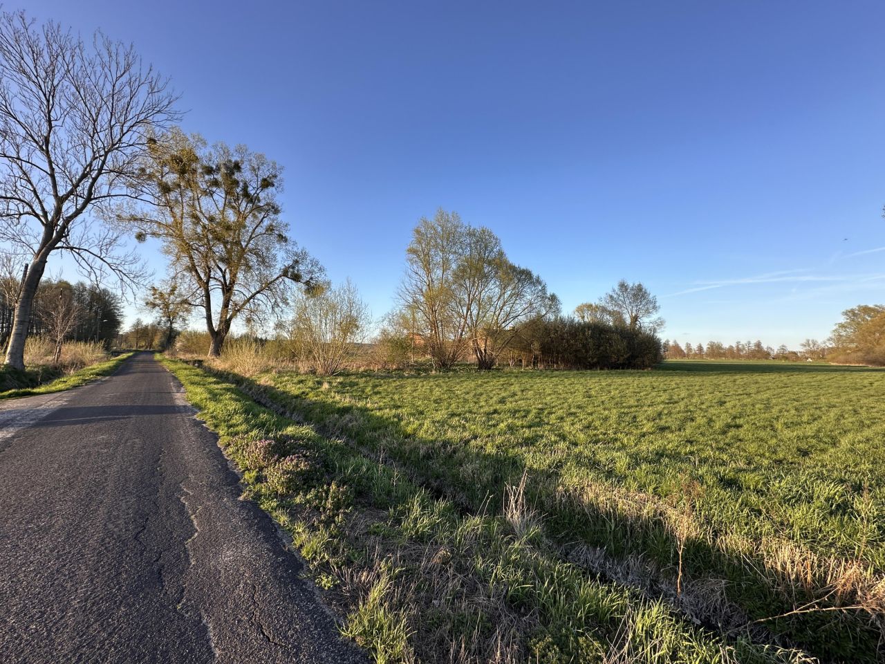 Działka budowlana Łącznica. Zdjęcie 4