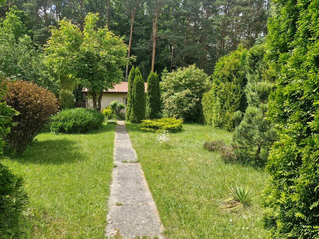 Działka rod Pawlikowice. Zdjęcie 7