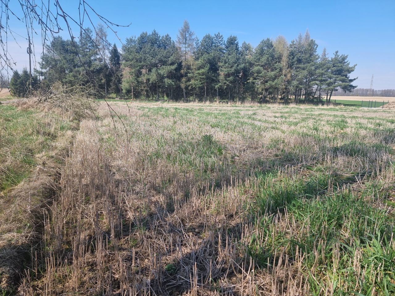 Działka rolno-budowlana Jarząbkowice. Zdjęcie 9