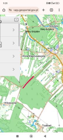 Działka leśna Magnuszew. Zdjęcie 1