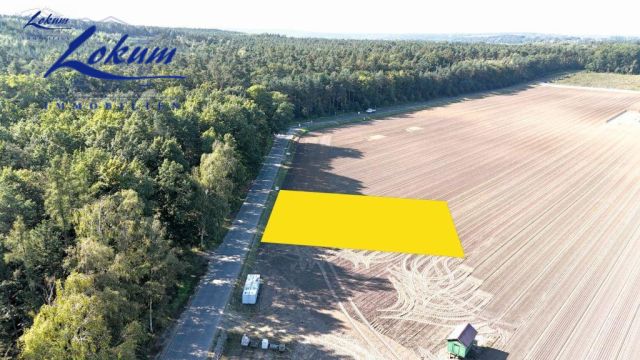 Działka budowlana Osieczna, ul. dr. Bronisława Świderskiego. Zdjęcie 3