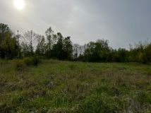 Działka rolna Kolsko, Kolsko. Zdjęcie 4