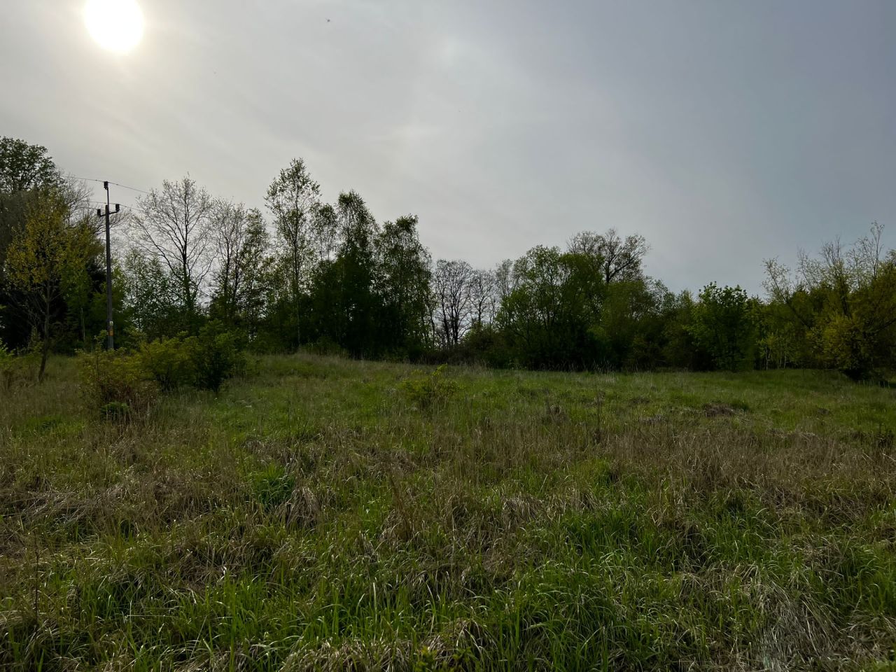 Działka rolna Kolsko, Kolsko. Zdjęcie 5