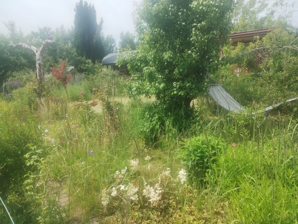 Działka rod Niekłonice. Zdjęcie 6