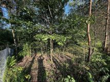 Działka rekreacyjna Kiełpiny. Zdjęcie 4