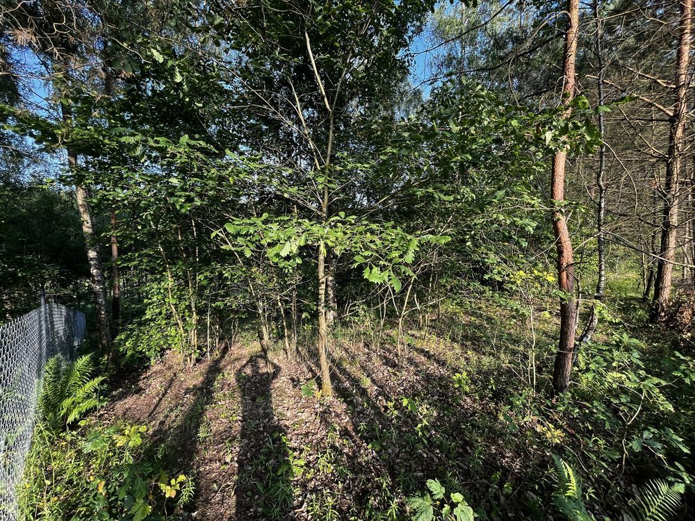 Działka rekreacyjna Kiełpiny. Zdjęcie 5