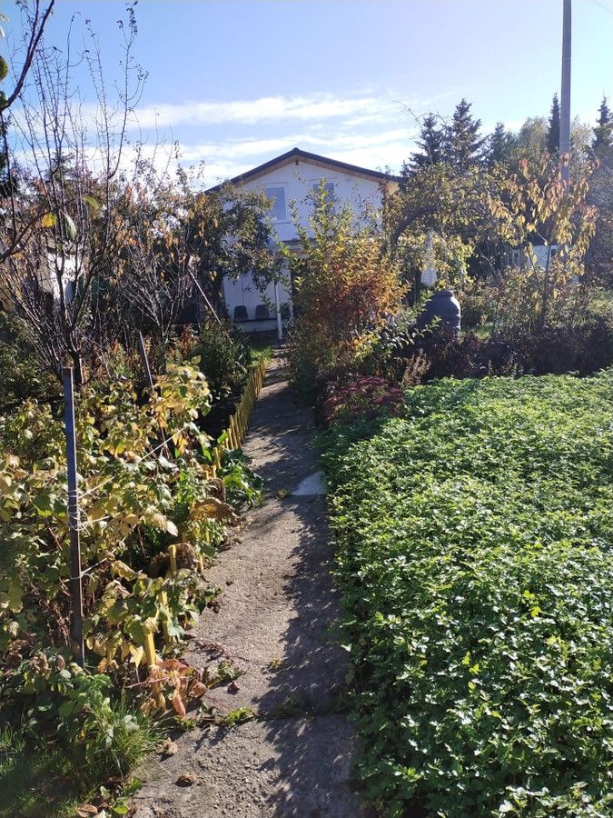 Działka rod Gdańsk Olszynka, ul. Goździkowa. Zdjęcie 13