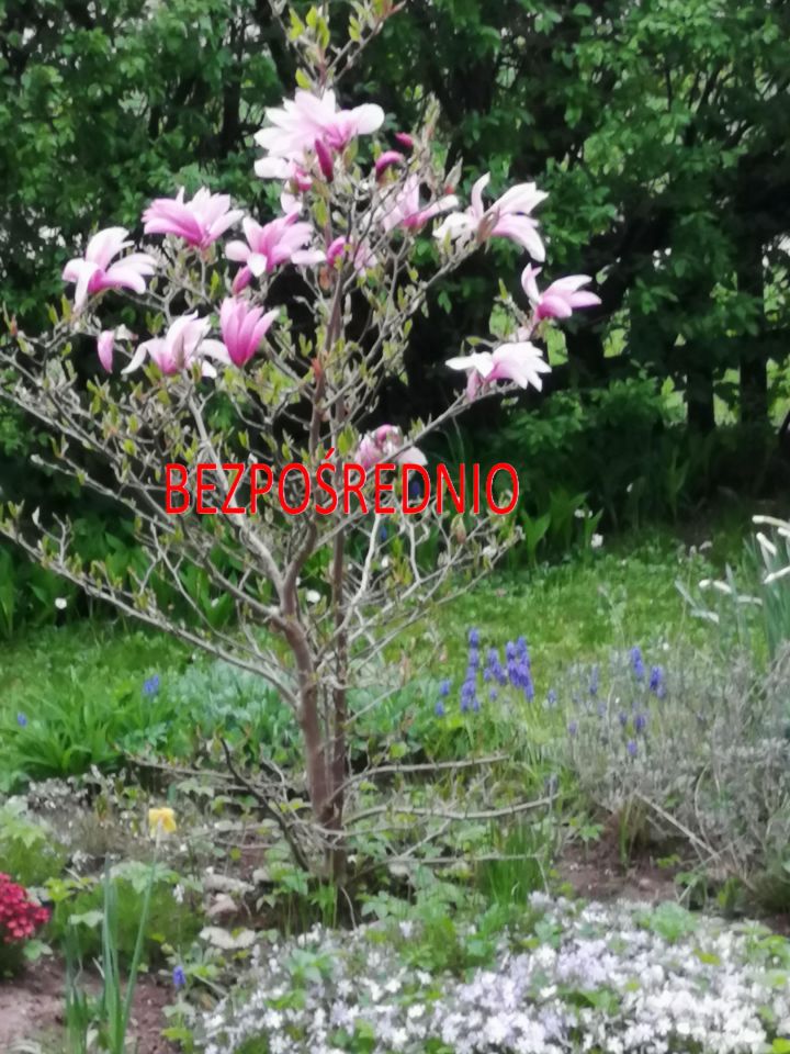 Mieszkanie 2-pokojowe Suwałki, ul. Aleksandra Putry. Zdjęcie 8