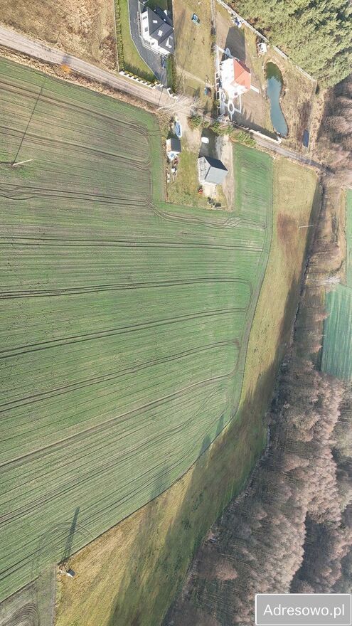 Działka budowlana Bolewicko. Zdjęcie 6