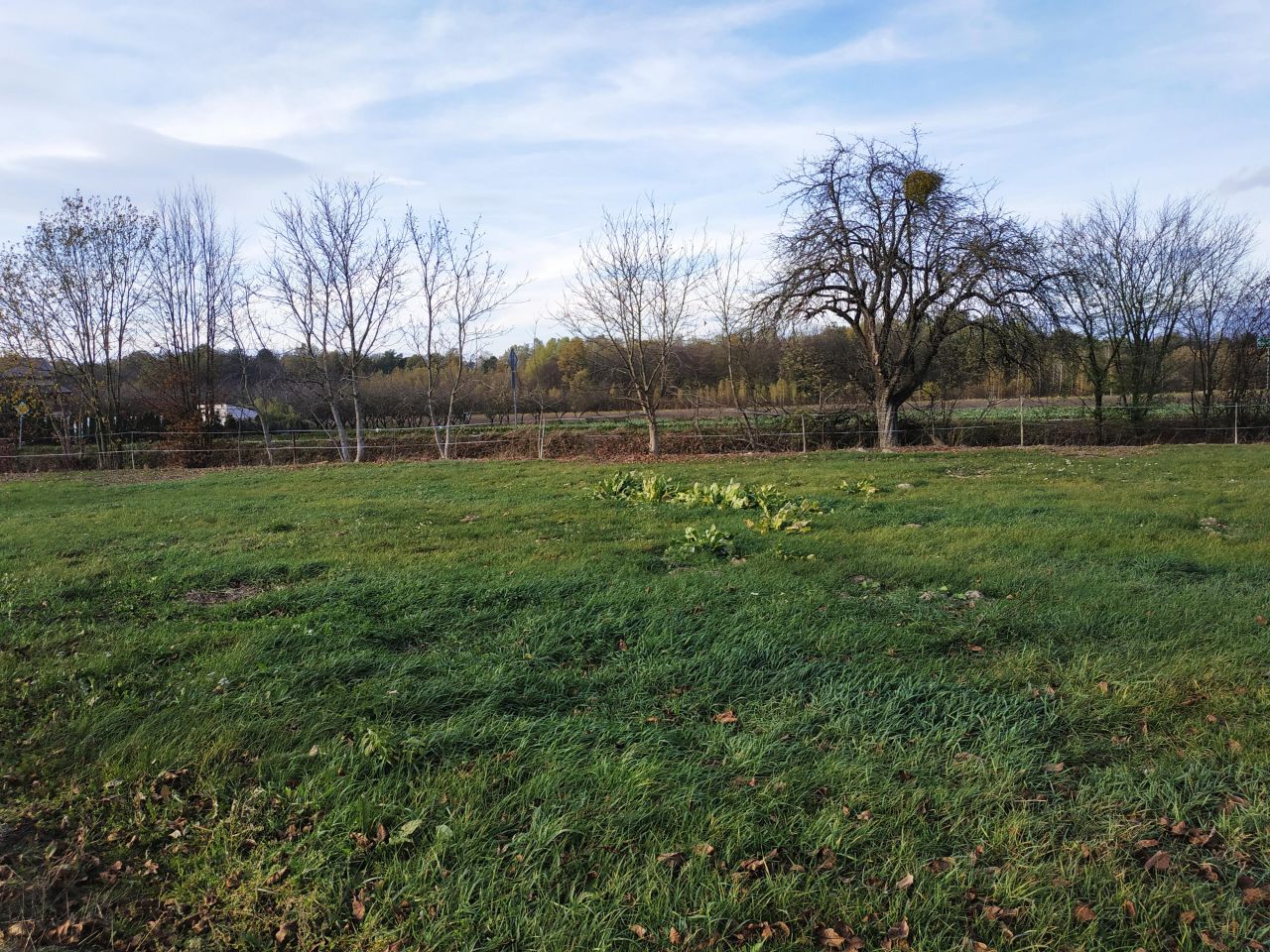 Działka inwestycyjna Kazimierz Dolny Dąbrówka, Dąbrówka. Zdjęcie 16