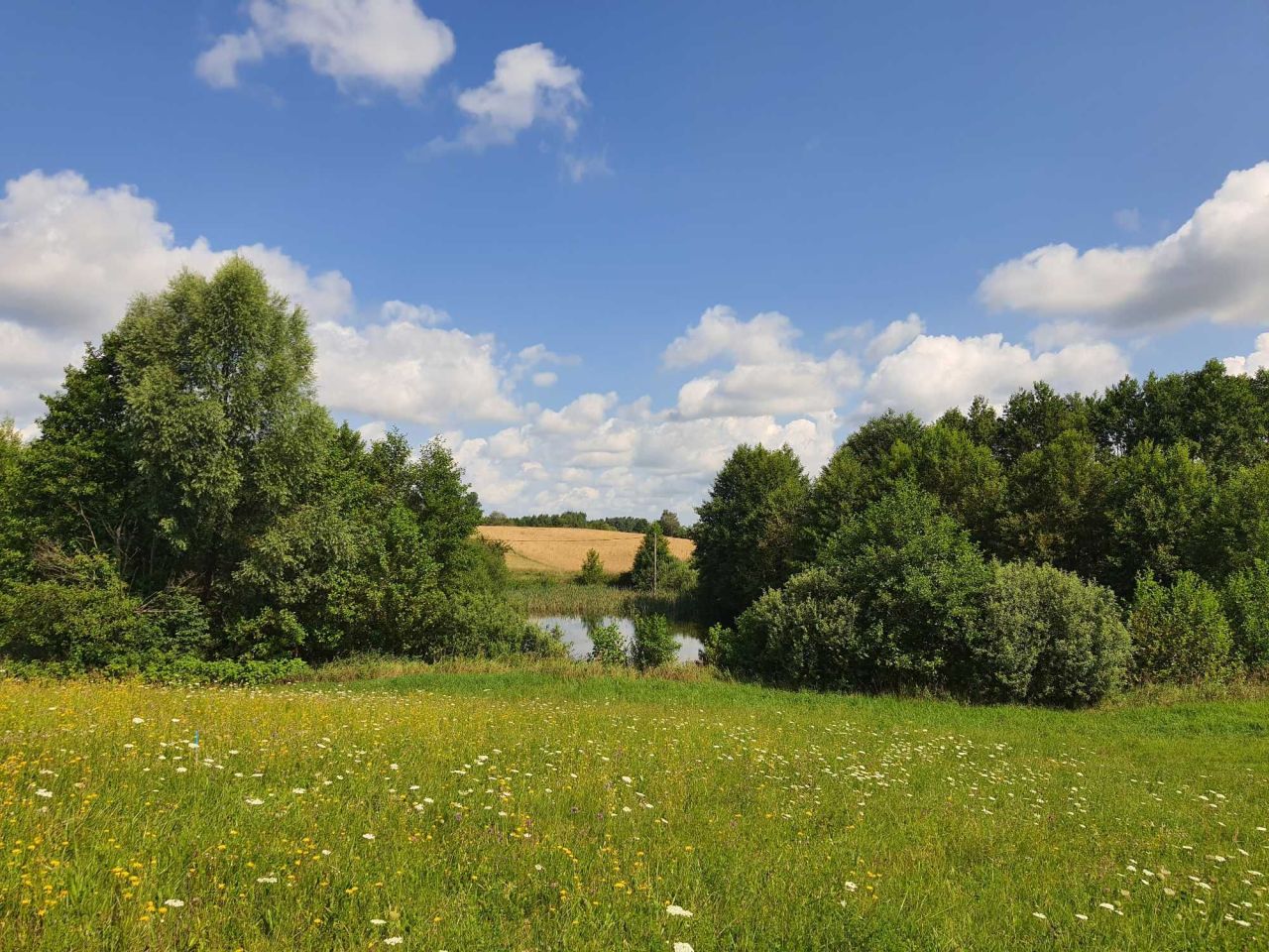 Działka budowlana Leleszki. Zdjęcie 5