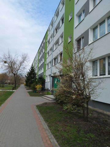 Mieszkanie 2-pokojowe Włocławek Zazamcze. Zdjęcie 1