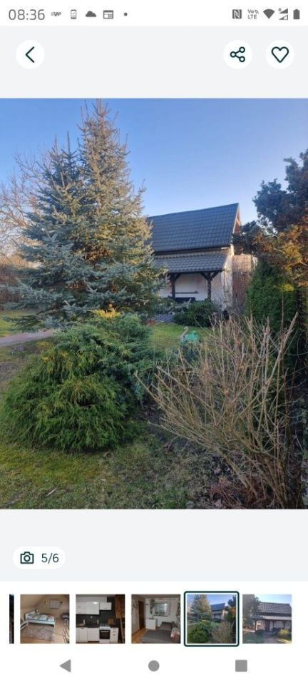 Działka rod Gryfino, ul. Armii Krajowej. Zdjęcie 6