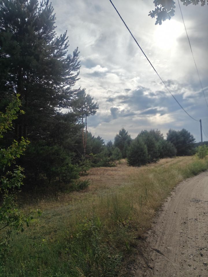 Działka budowlana Rąpin. Zdjęcie 8