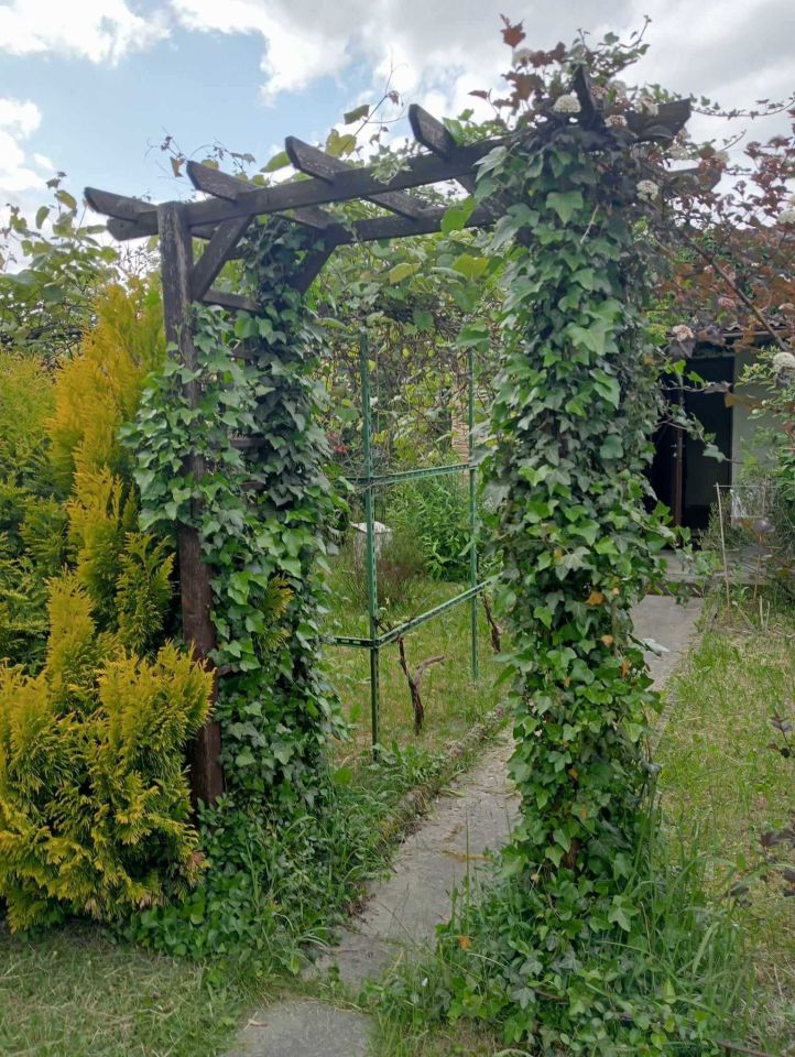 Działka rod Łódź Polesie, ul. Janusza Kusocińskiego. Zdjęcie 3