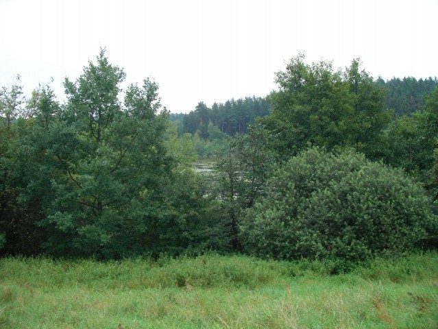Działka rolna Biedowo Dąbrówka Mała. Zdjęcie 1