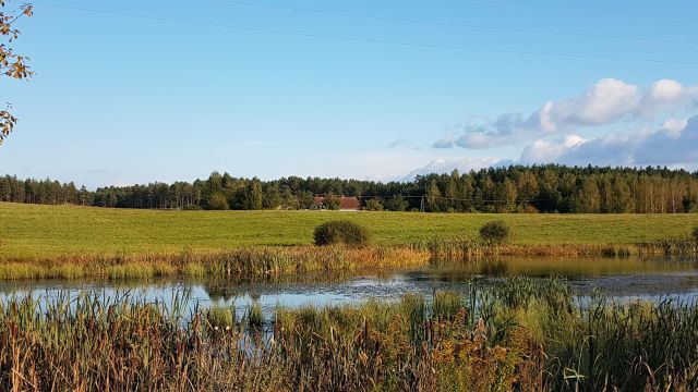 Działka budowlana Wymój. Zdjęcie 1