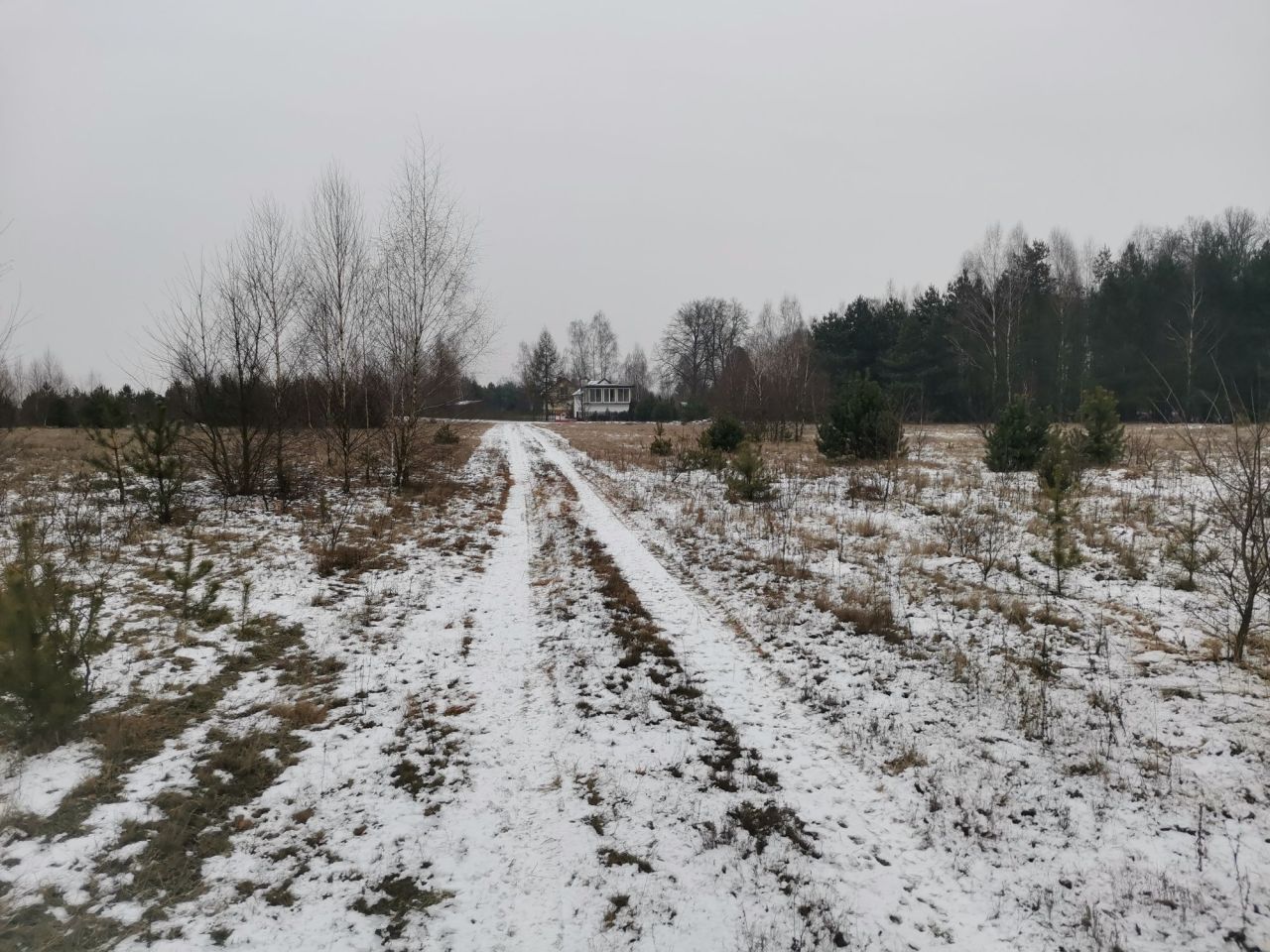 Działka rolna Nowa Wieś. Zdjęcie 8