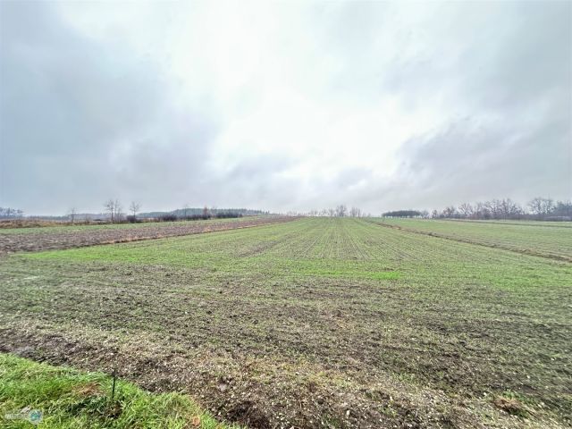 Działka Kostera. Zdjęcie 8