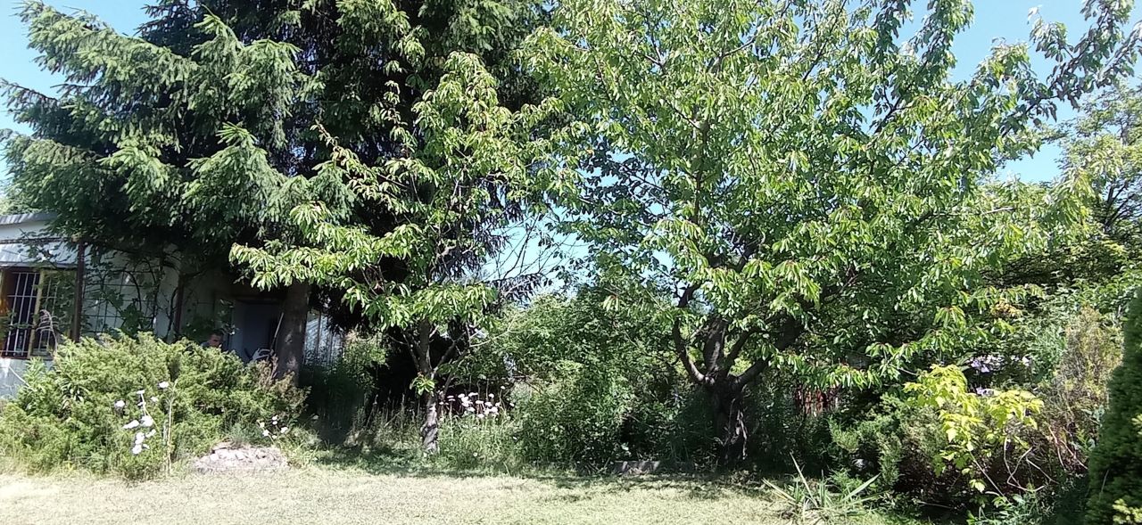 Działka rod Łódź Widzew, ul. Lodowa. Zdjęcie 16