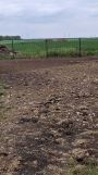 Działka budowlana Radonia. Zdjęcie 1