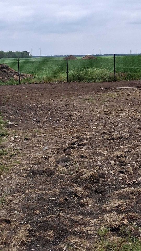 Działka budowlana Radonia. Zdjęcie 2