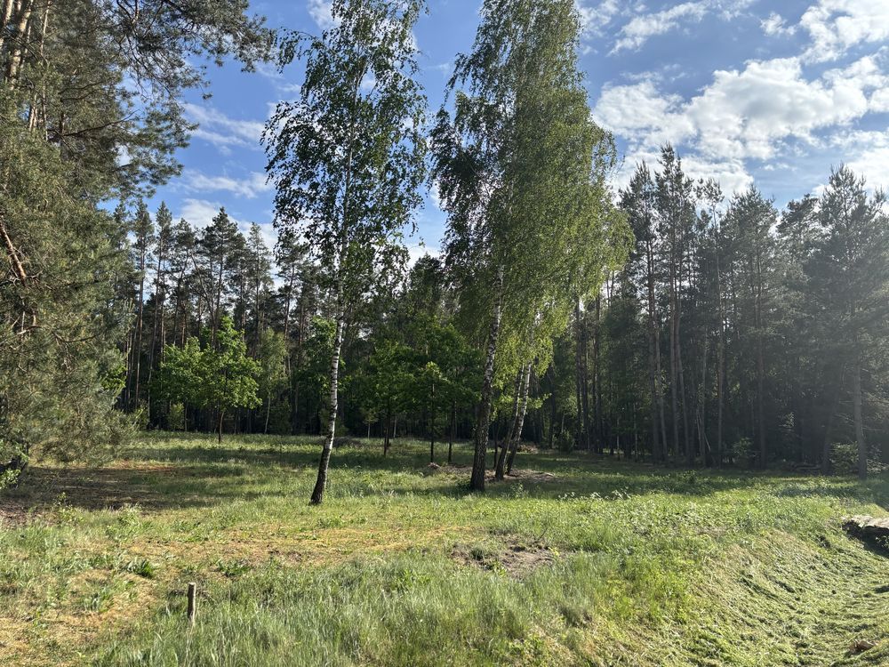 Działka budowlana Polków-Daćbogi. Zdjęcie 4