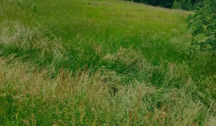 Działka budowlana Bagienice