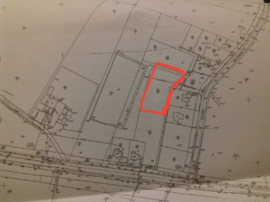 Działka rolno-budowlana Witunia. Zdjęcie 2