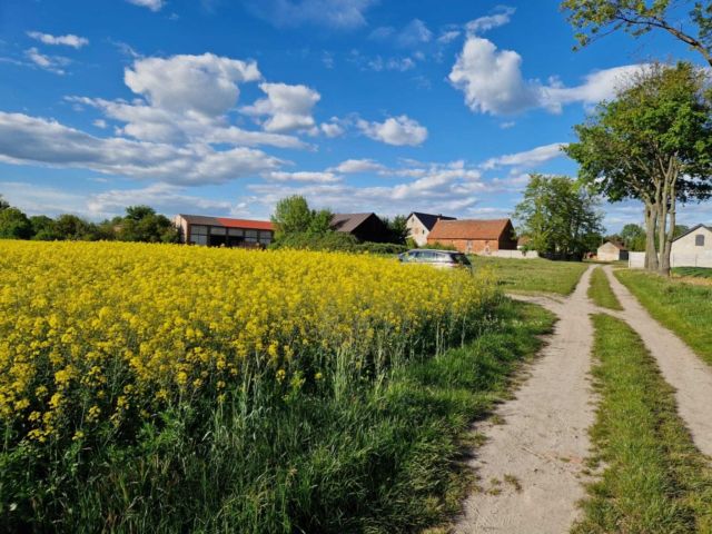 Działka budowlana Dzikowice. Zdjęcie 1