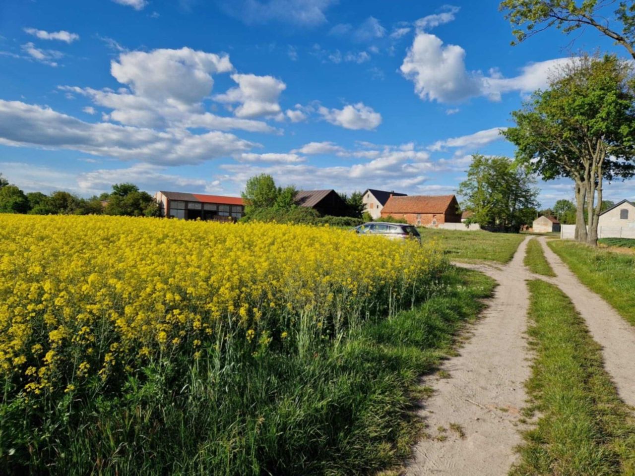 Działka budowlana Dzikowice