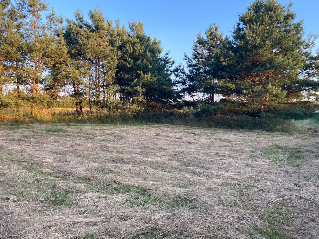 Działka budowlana Rudziczka, ul. Baraniok. Zdjęcie 2