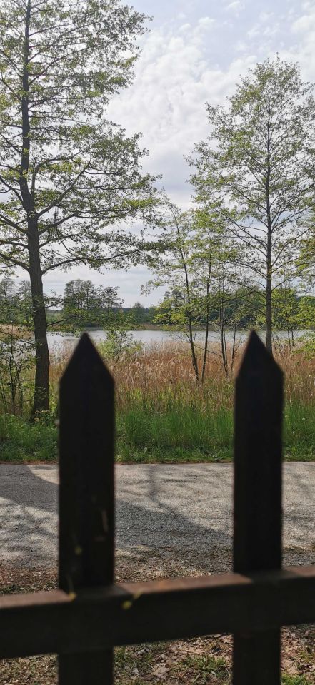 Działka rolna Nowe Czaple. Zdjęcie 2