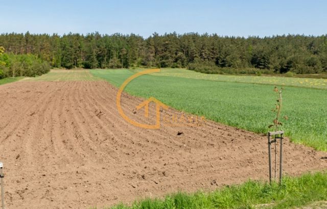 Działka leśna Linia, ul. Długa. Zdjęcie 4