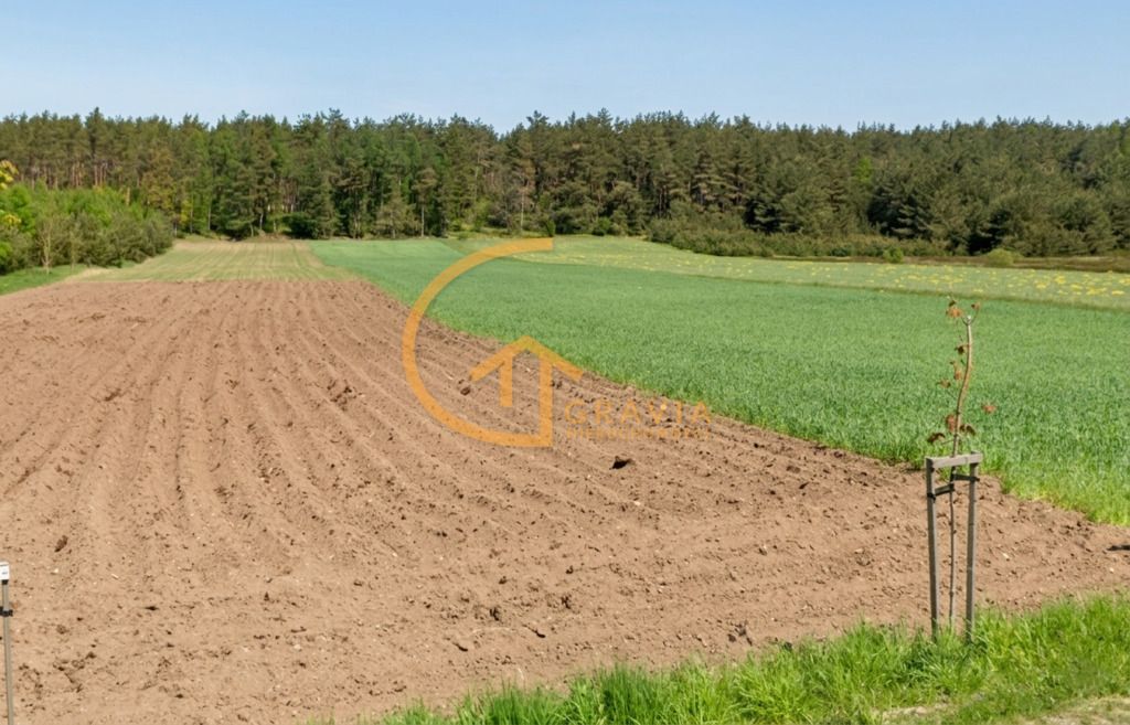 Działka leśna Linia, ul. Długa. Zdjęcie 4