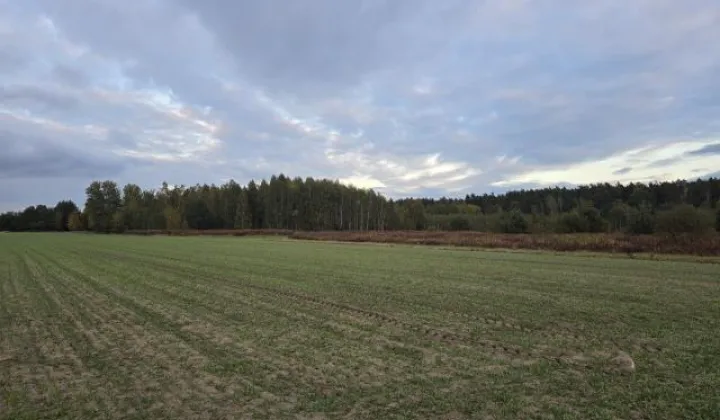 Działka budowlana Krzywica