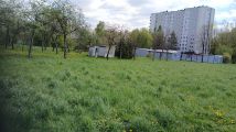 Działka rolna Tarnów Grabówka, Monte Cassino Tarnów Marynki Wojennej. Zdjęcie 4